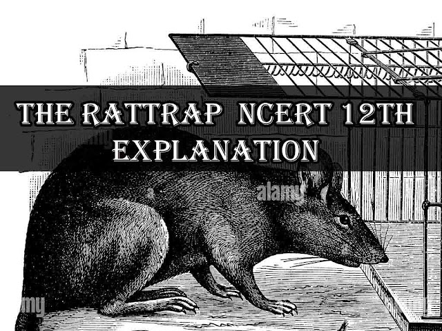 The Rattrap NCERT 12Th Explanation Main Point Theme The Rattrap NCERT 12Th Explanation Main Point Theme